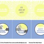 {Free Printables} You Are My Sunshine Party