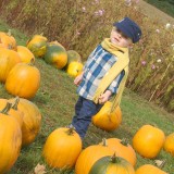 Fall Tradition of the Pumpkin Patch and Toddler Style