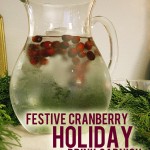 Festive Holiday Drink Garnish // A Well Crafted Party