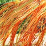 Orange and Yellow Ribbon Wall