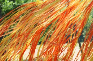 Orange and Yellow Ribbon Wall
