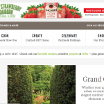 Beta of Martha Stewart's New Site