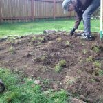 Working Hard on the Garden