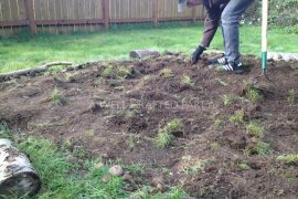 Working Hard on the Garden