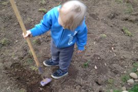 Soil Tips from a Newbie Gardener