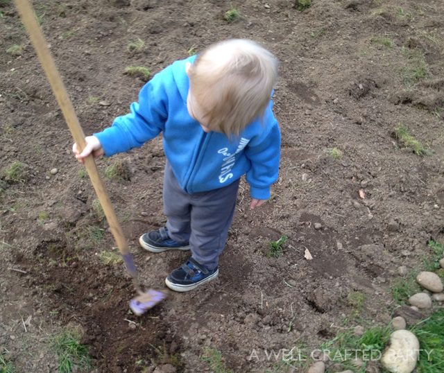 Soil Tips from a Newbie Gardener