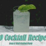 20 Cocktail Recipes from A Well Crafted Party