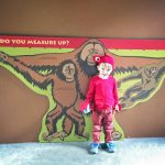 Oregon Zoo at Halloween // A Well Crafted Party