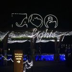 Zoo Lights in Portland, Oregon // A Well Crafted Party