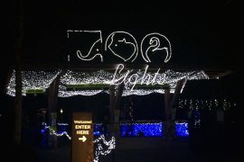 Zoo Lights in Portland, Oregon // A Well Crafted Party