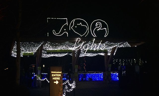 Zoo Lights in Portland, Oregon // A Well Crafted Party