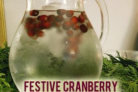 Festive Holiday Drink Garnish // A Well Crafted Party