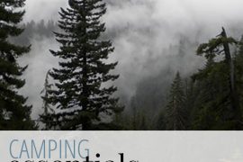Camping Essentials (You Won't Find in the Camping Section) - A Well Crafted Party