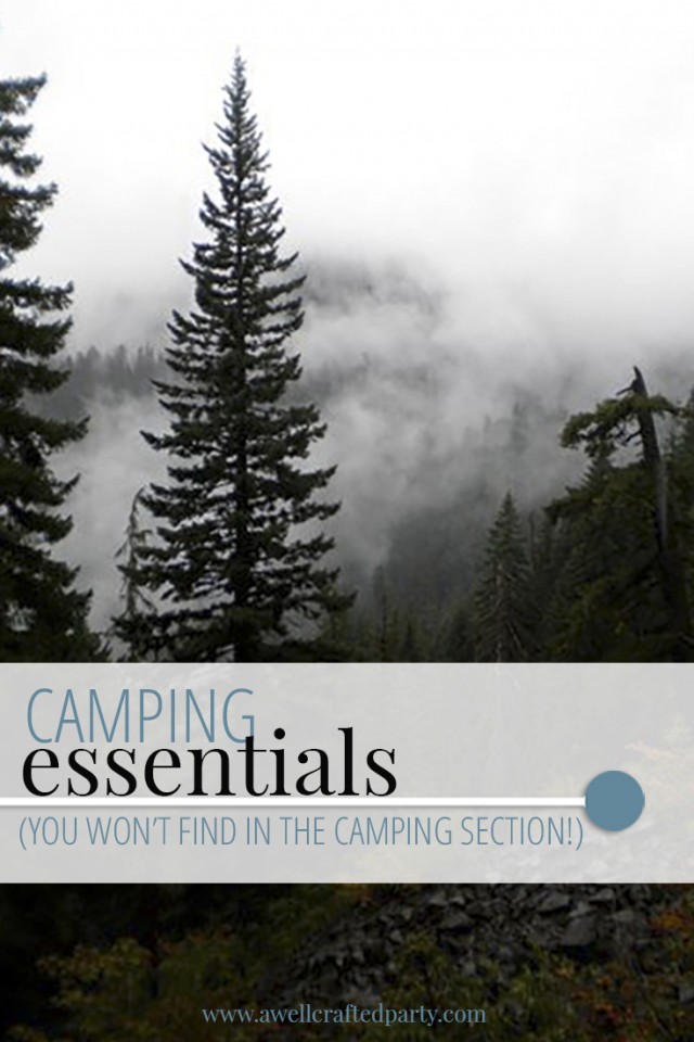 Camping Essentials (You Won't Find in the Camping Section) - A Well Crafted Party