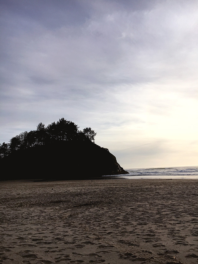 Neskowin Beach Family Vacation - A Well Crafted Party