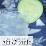Gin and Tonic - Perfect Summer Sipper