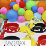 Paw Patrol Party