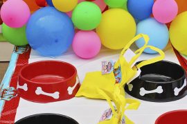 Paw Patrol Party