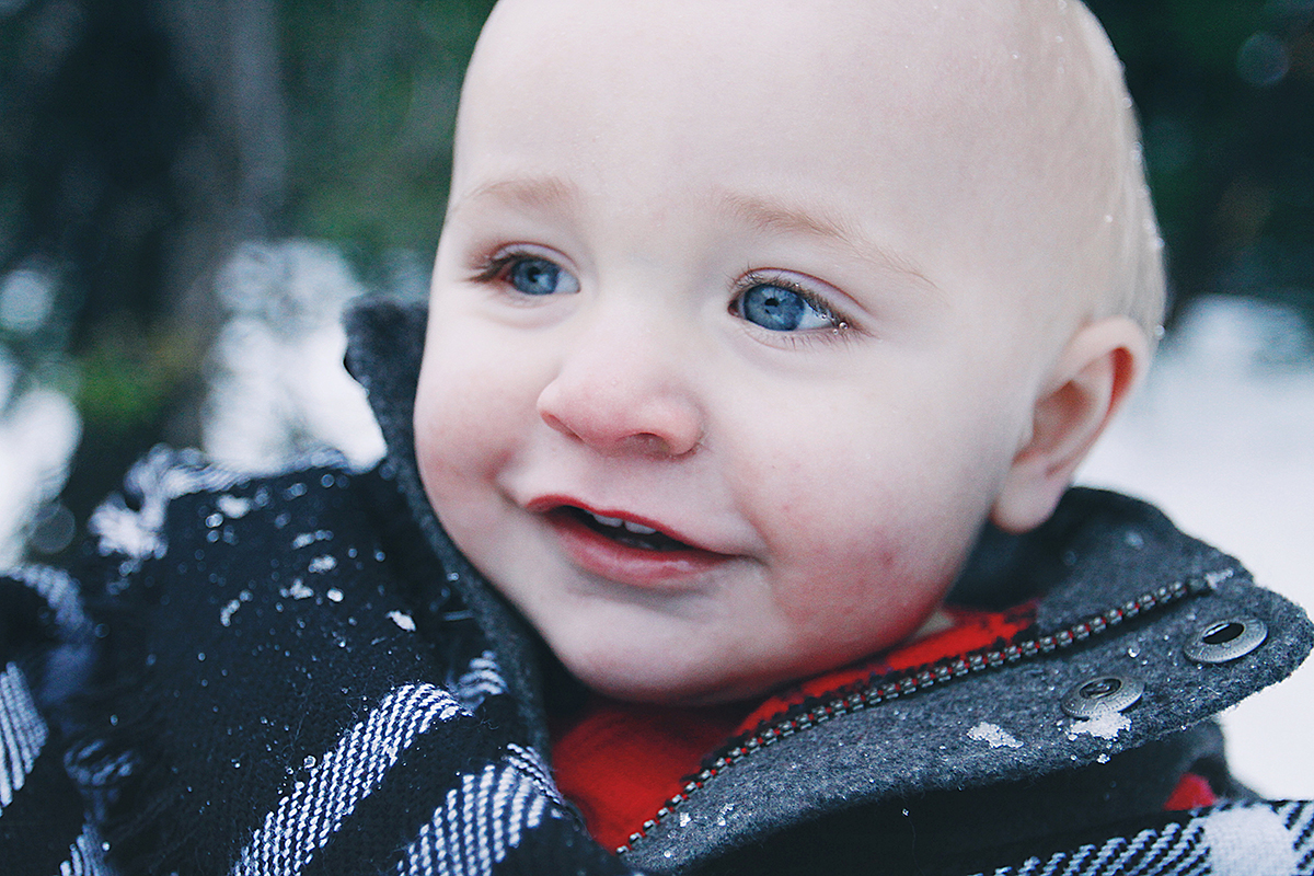 Holiday Family Photos featured on A Well Crafted Party