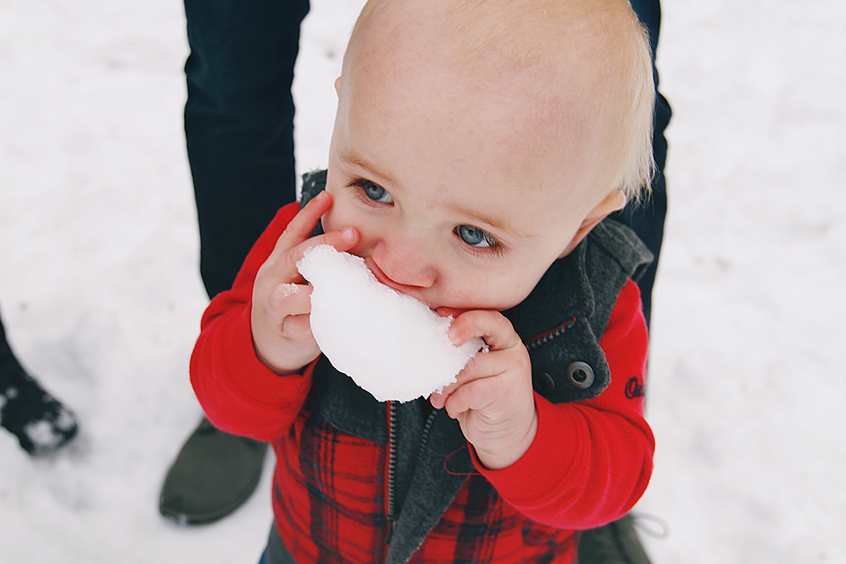 Holiday Family Photos featured on A Well Crafted Party