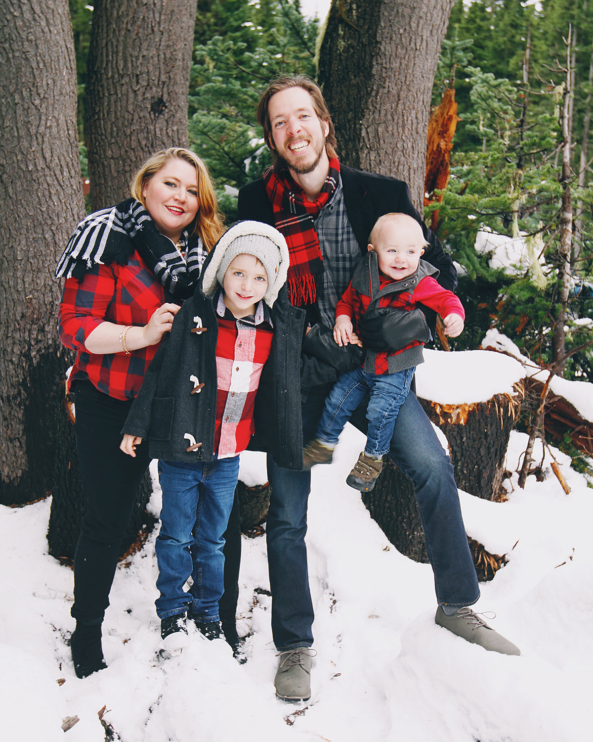 Holiday Family Photos featured on A Well Crafted Party