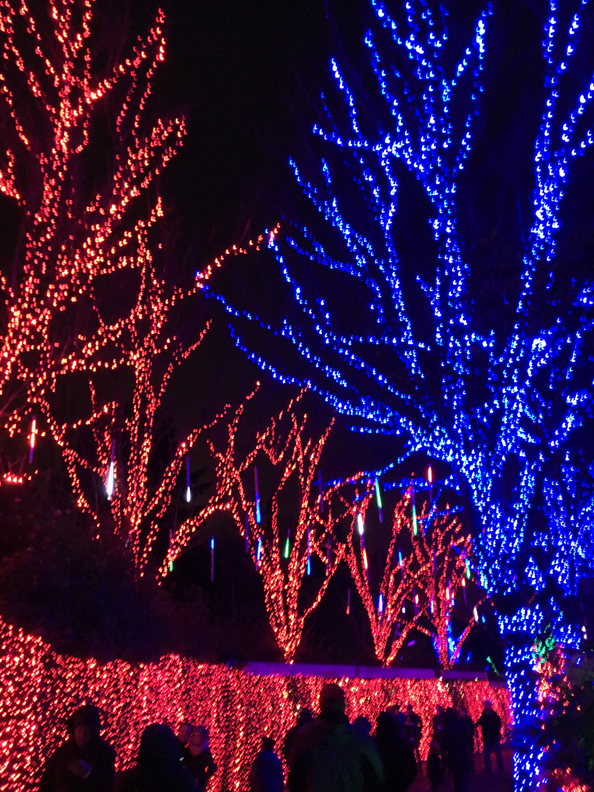 Holiday Events in PDX - Oregon Zoo's Zoo Lights at A Well Crafted Party
