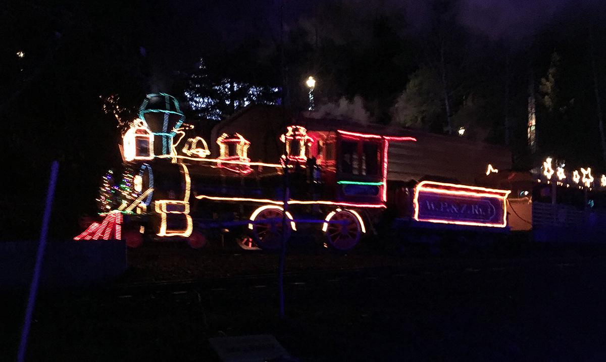 Holiday Events in PDX - Oregon Zoo's Zoo Lights at A Well Crafted Party