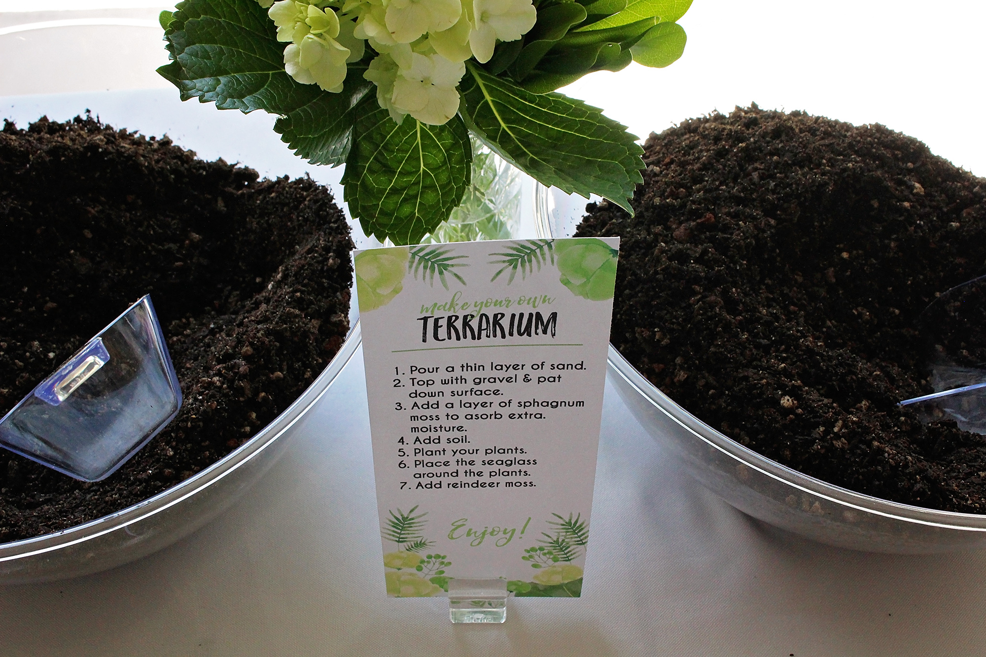 DIY Terrarium Party Favors | A Well Crafted Party