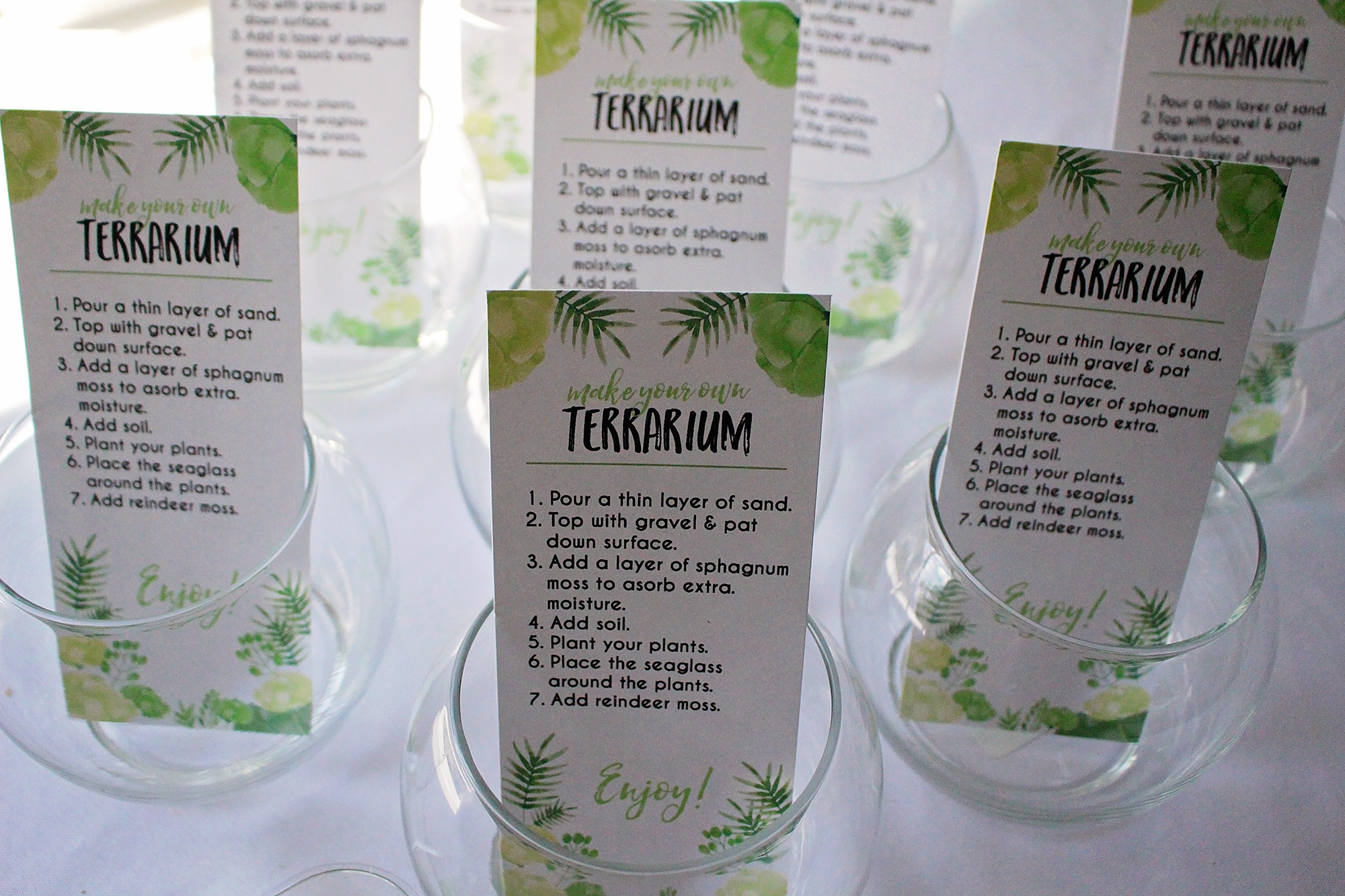 DIY Terrarium Party Favors | A Well Crafted Party