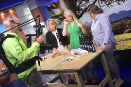 Cider Tasting Party | A Well Crafted Party